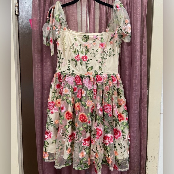 Dolls Kill Dresses & Skirts - WR&S “The Fleur” Fairy Floral Embroidered Mini Dress
